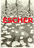 Escher's Tessellations